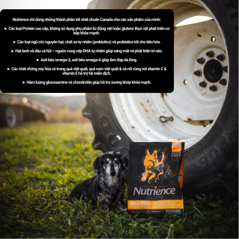 z5710479209100_473156a07d11b5fab5c98ff80412b150