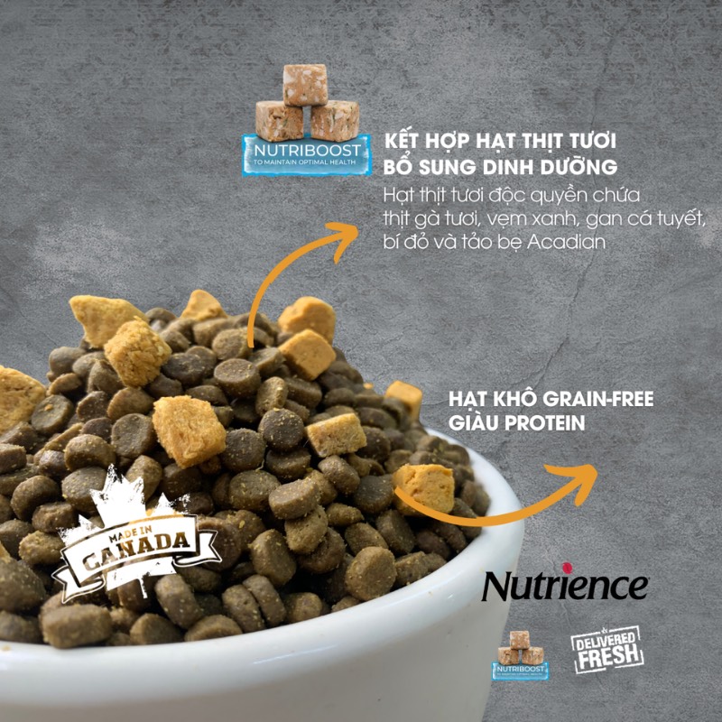 z5710479211972_ffd57293f5a49fbfdbb7235297df5868