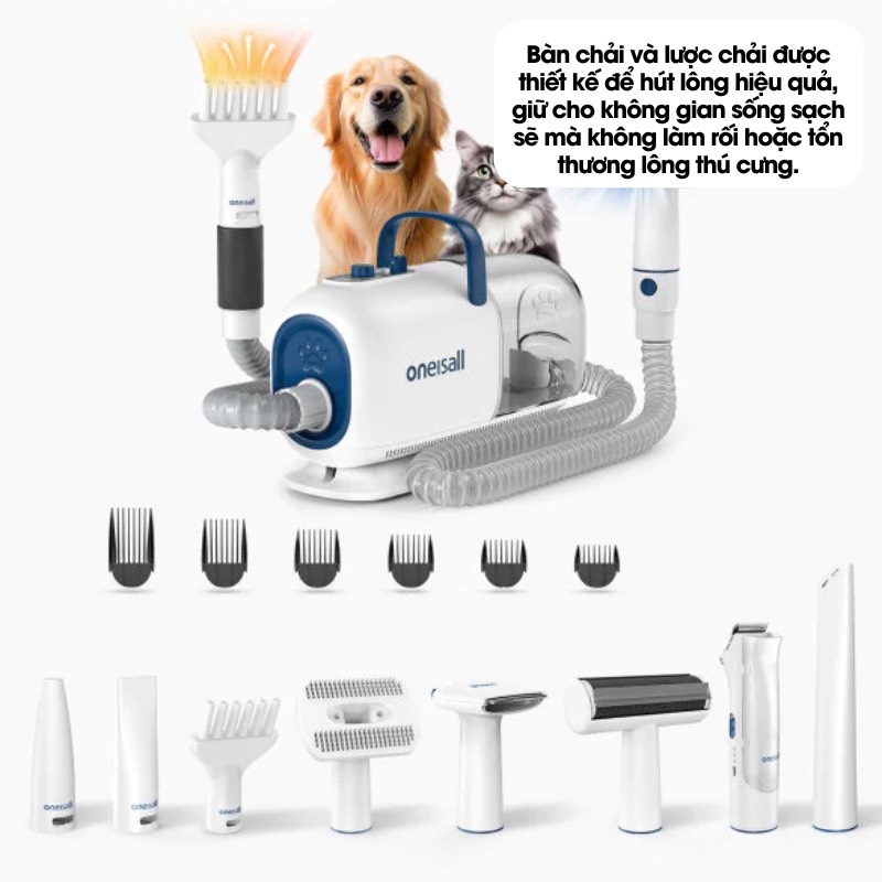 z5745166988294_44a7183332d810362ba9aec62852cc40