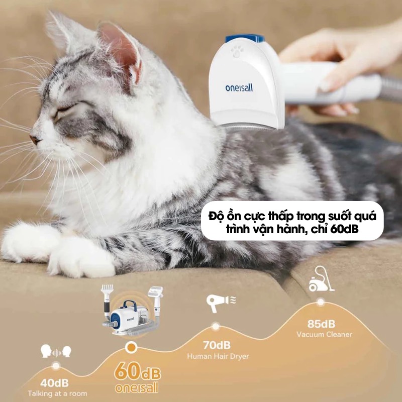 z5745167010616_026ded95bc4a12ad957ea8a733251481