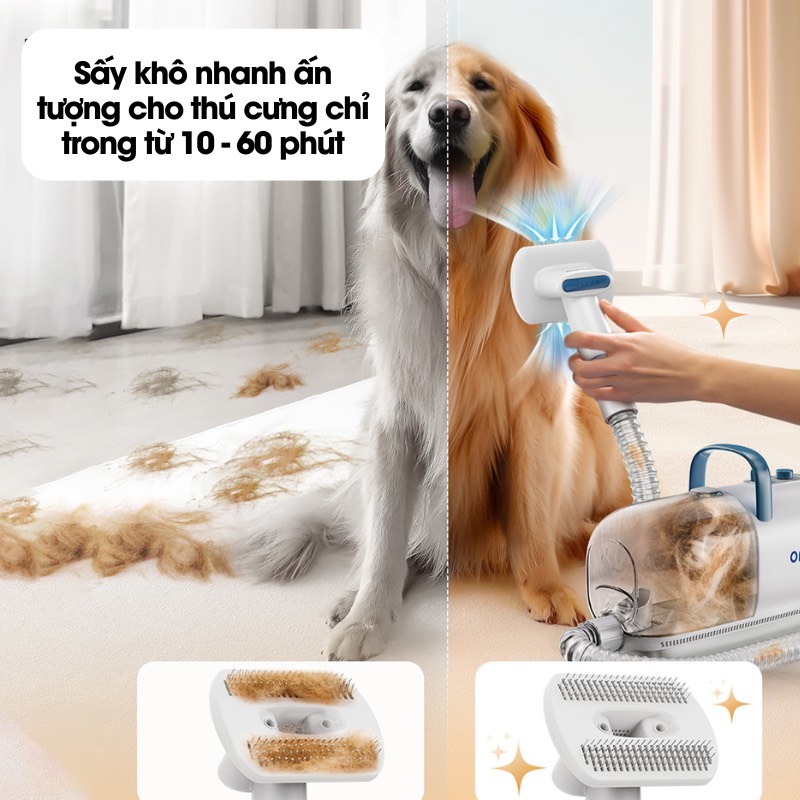 z5745167015126_aa3ca516031c655571e69cc8ce421edc