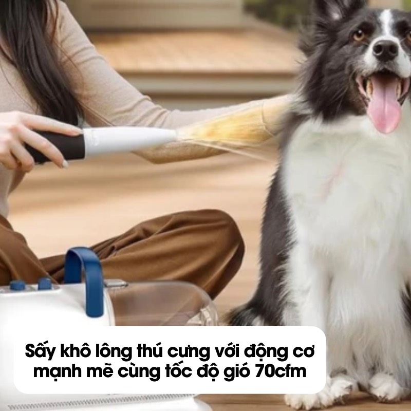 z5745167031131_028206c7085305fa542dc510c0eaa0e8