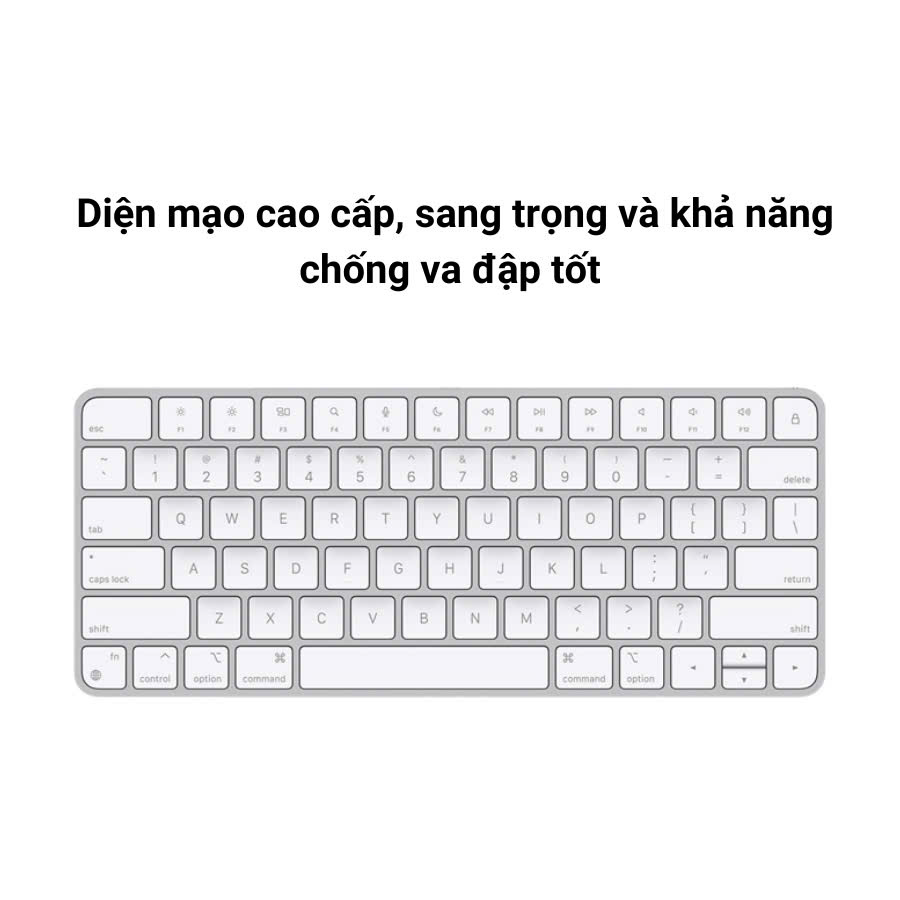 z5895938116233_a2b435e1da1918bad4026cc1e7d9cd18